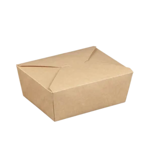 folded paper bowl